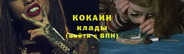 PSILOCYBIN Верея