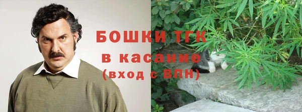 PSILOCYBIN Верея
