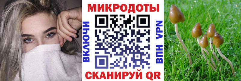 Галлюциногенные грибы Psilocybine cubensis  Каневская 